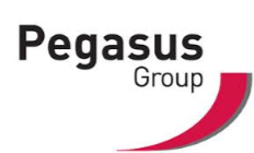 Pegasus Group Logo