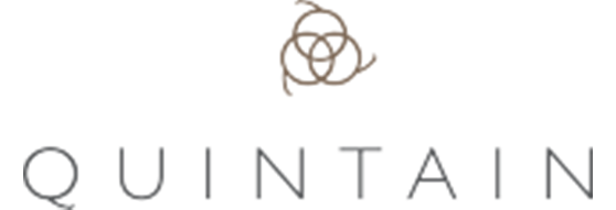 Quintain Logo